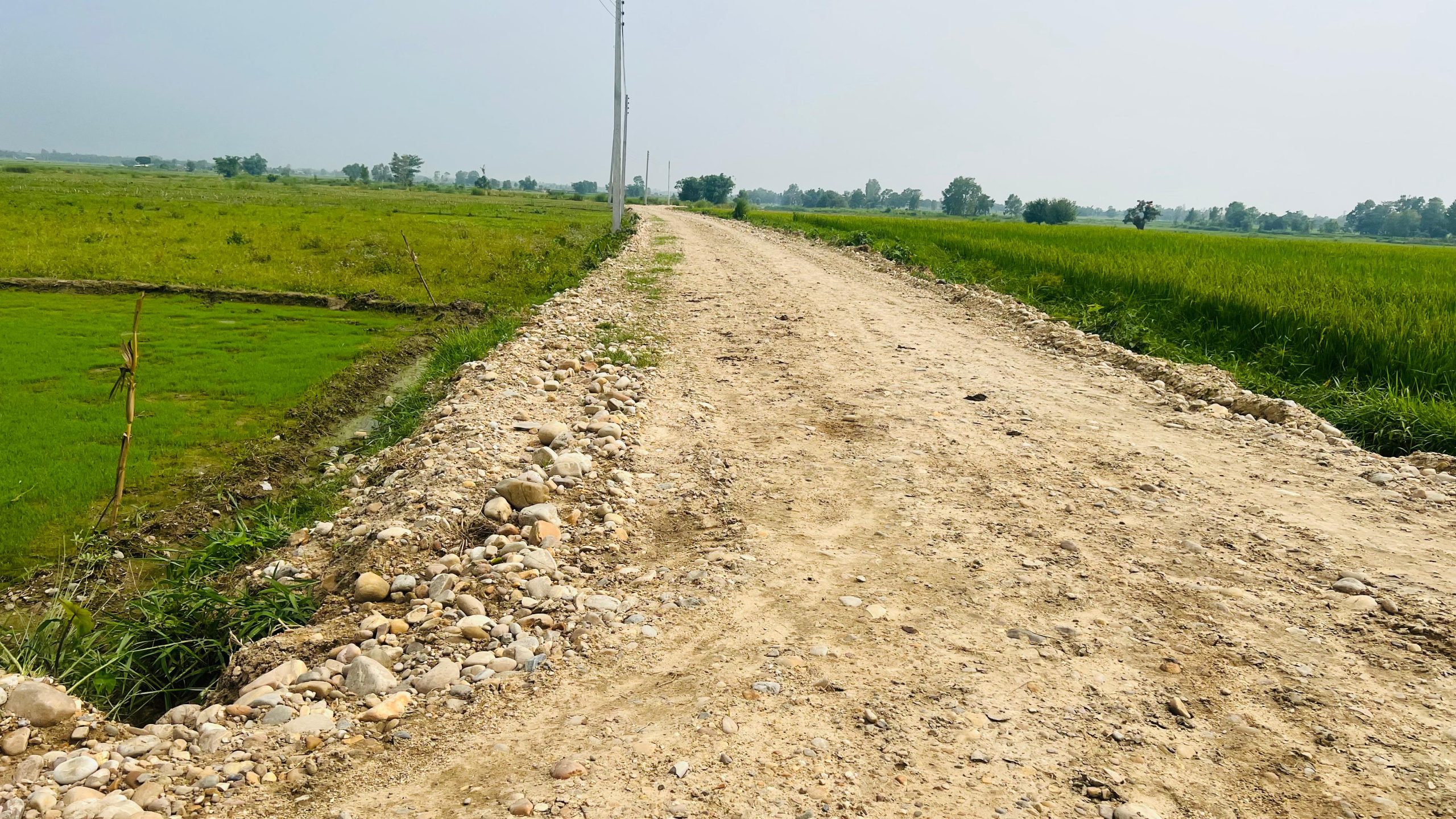 कोल्हबी ३ को एक सडकमा ग्रावेल थोरै हाले, घाँस पनि पुर्न सकेन, बजेट हजम गर्ने खेल